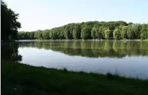 Ruhiger See mit spiegelndem Wasser, grünen Ufern und dichtem Wald im Hintergrund.