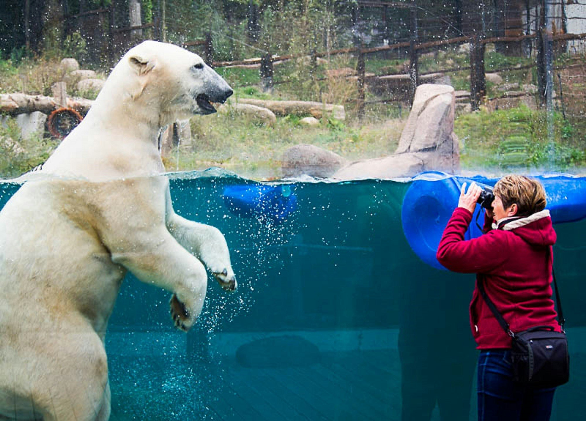 Camping Parc La Chaumiere