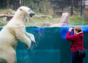 Großer weißer Hund am Wasserbecken, daneben ein Besucher mit roter Jacke und blauer Schüssel im Gartenbereich.
