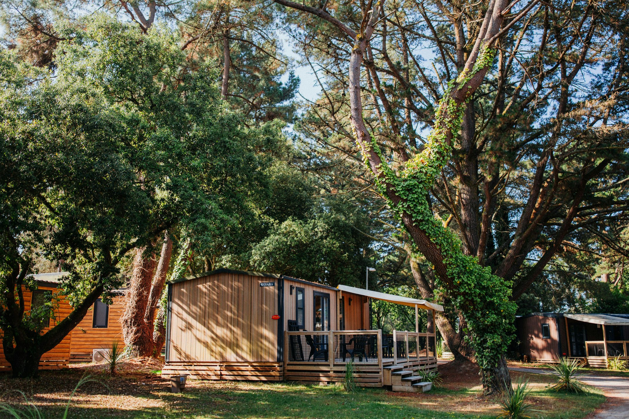 Yelloh! Village Parc Sainte Brigitte  Camping Parc Sainte-Brigitte  - Mobilheim mit Terrasse auf dem Campingplatz