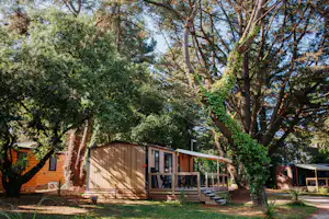 Holzbungalow mit Terrasse und Sitzbereich im Grünen, umgeben von Bäumen und Sträuchern auf einem Campingplatz.