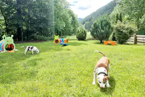 Camping Parco Adamello - Hunde auf dem Campingplatz