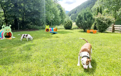Camping Parco Adamello