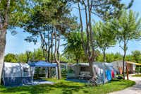 Camping Parco Capraro - Standplätze auf dem Campingplatz