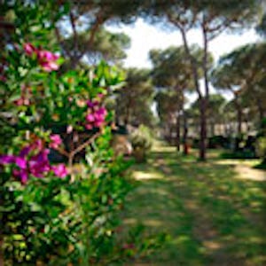 Camping Parco della Gallinara