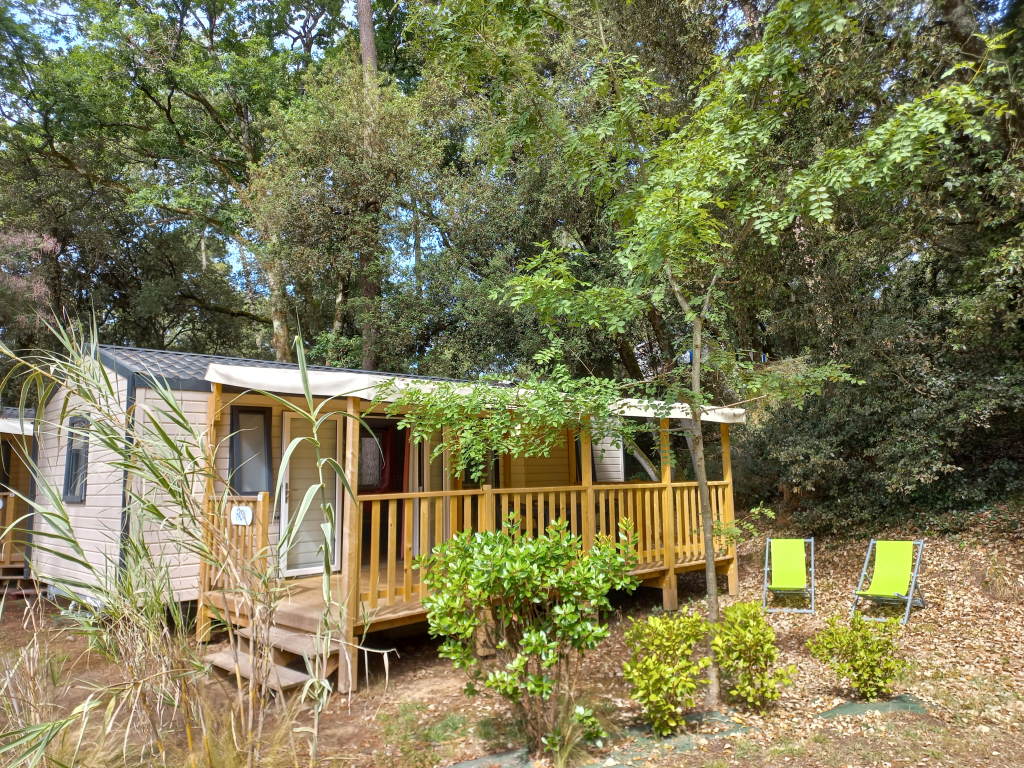 Camping Parfums d'été