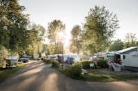 Camping Park Gohren am See  -  Wohnwagen- und Zeltstellplatz vom Campingplatz im Grünen