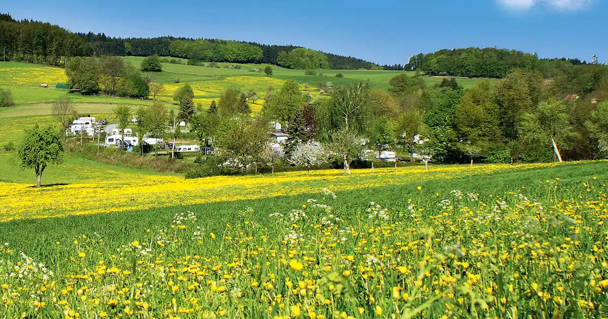 Sind Hunde auf Camping Park Hammelbach erlaubt? photo 3