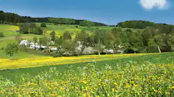 Camping Park Hammelbach