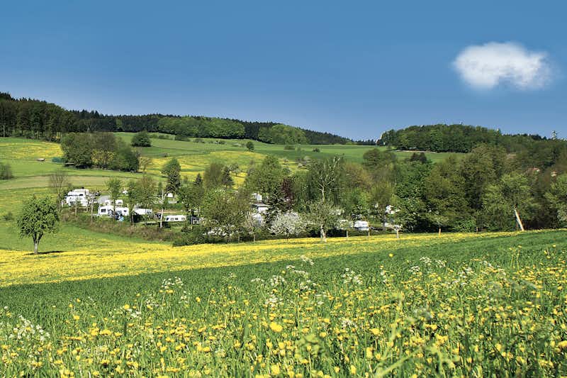 Camping Park Hammelbach  - Blick auf den Campingplatz an blühenden Feldern