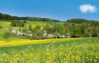 Camping Park Hammelbach