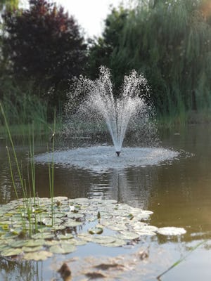 Camping en Camperpark Het Gelders Eiland