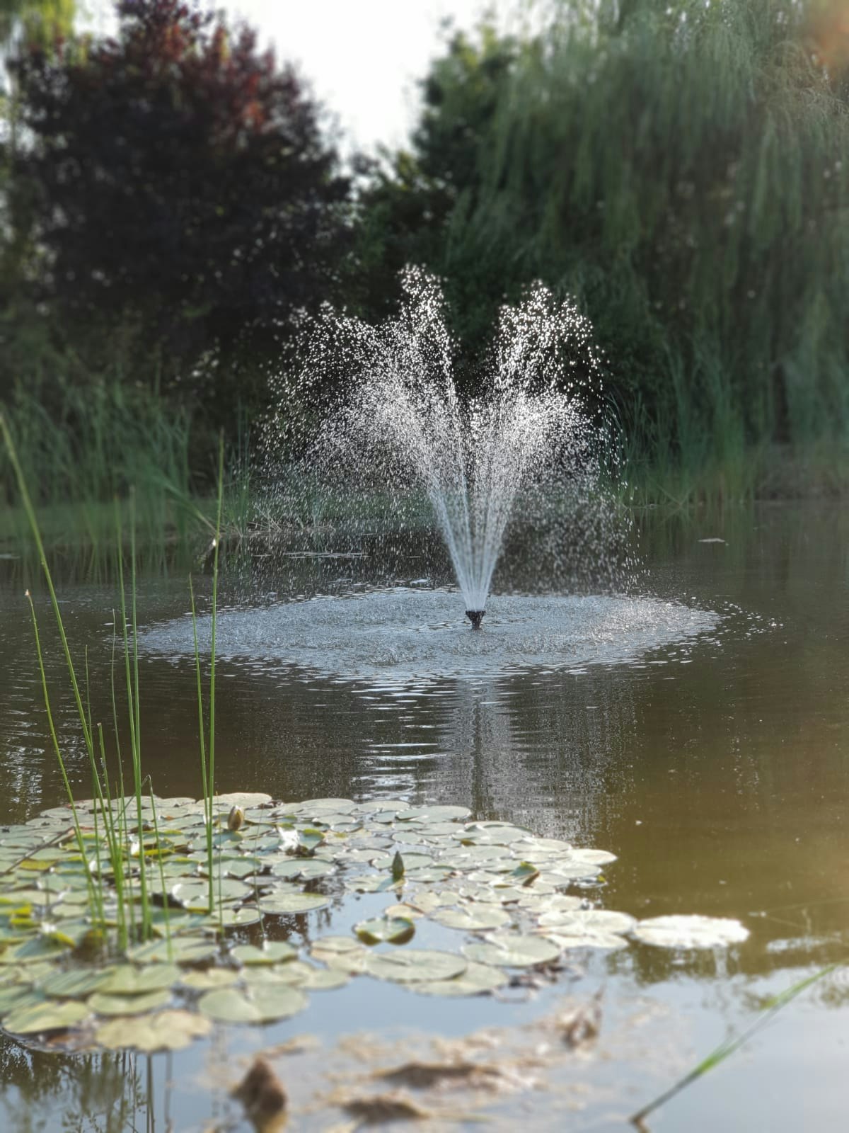 Camping en Camperpark Het Gelders Eiland