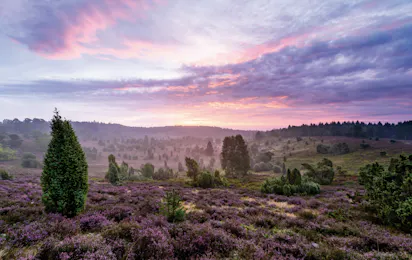 Camping-Park Lüneburger Heide