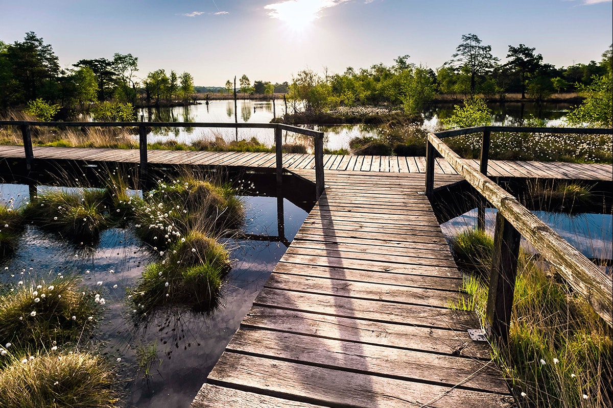 Camping-Park Lüneburger Heide
