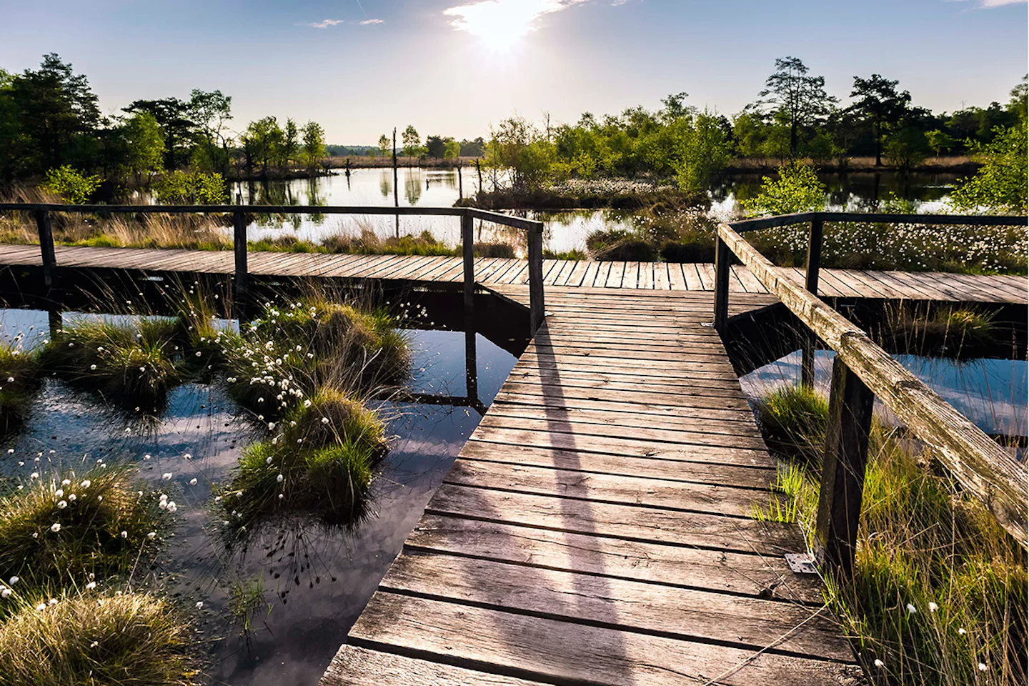 Camping-Park Lüneburger Heide