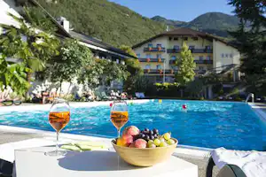 Camping-Park Steiner - Wein trinken am Pool