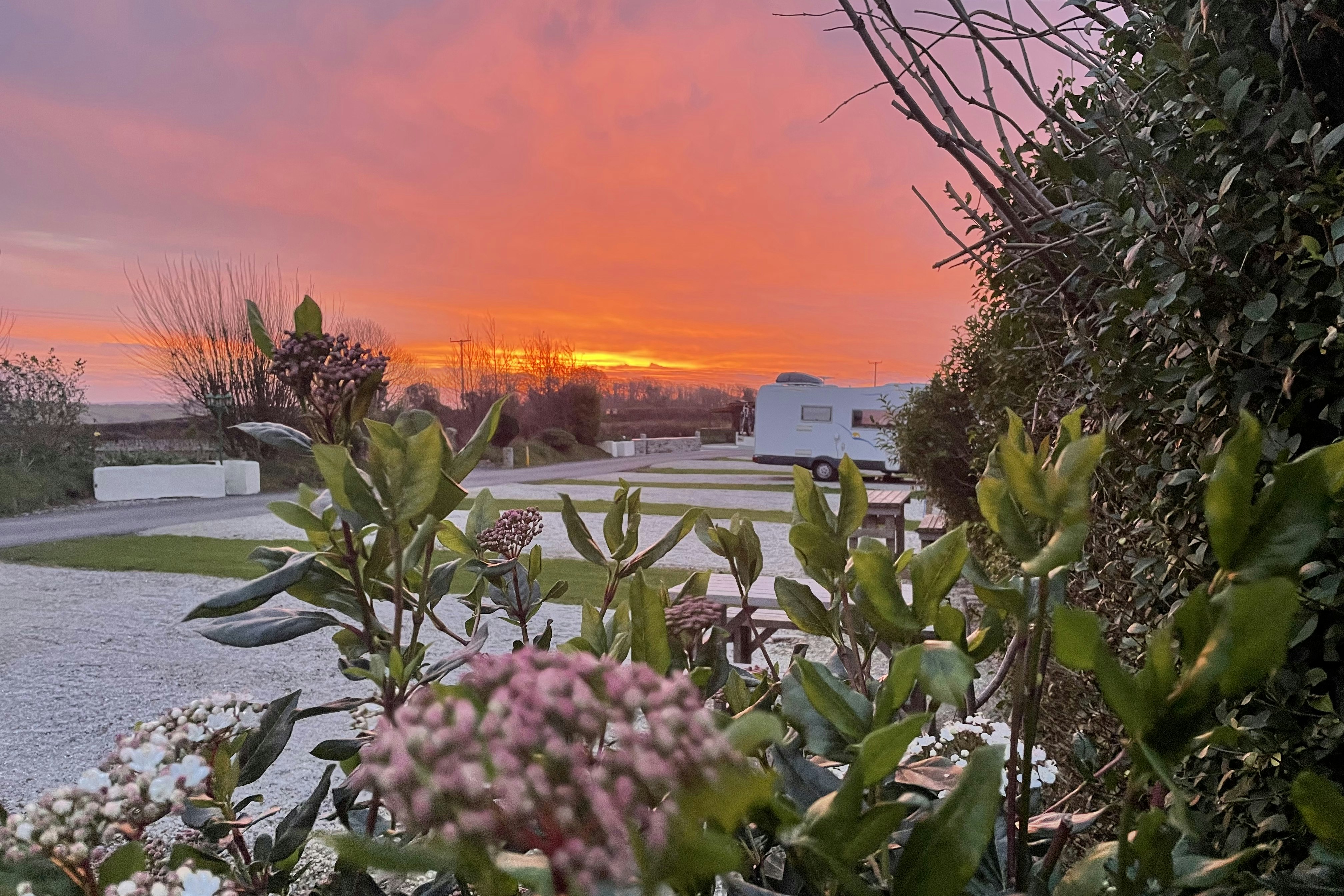 Camping Parkland - Blick auf die Stellplätze bei Sonnenuntergang
