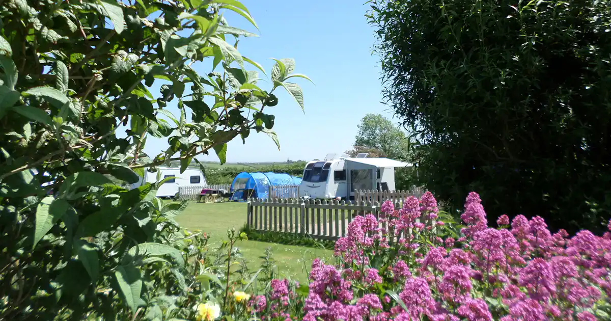 Camping Parkland photo 4