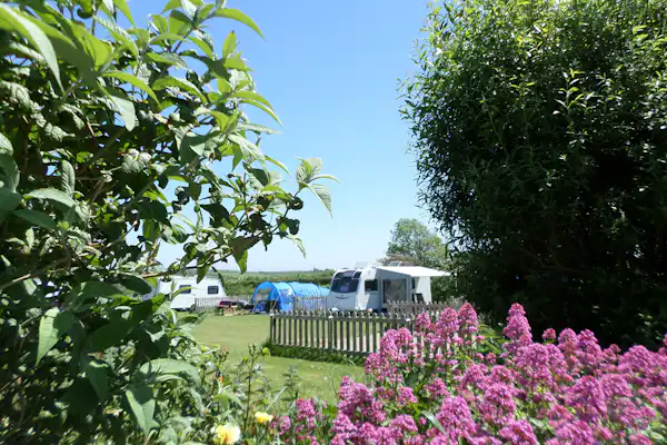 Camping Parkland