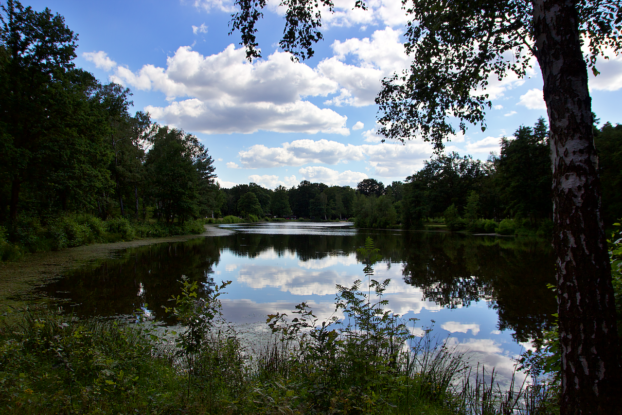Camping & Freizeit Parksee Lohne