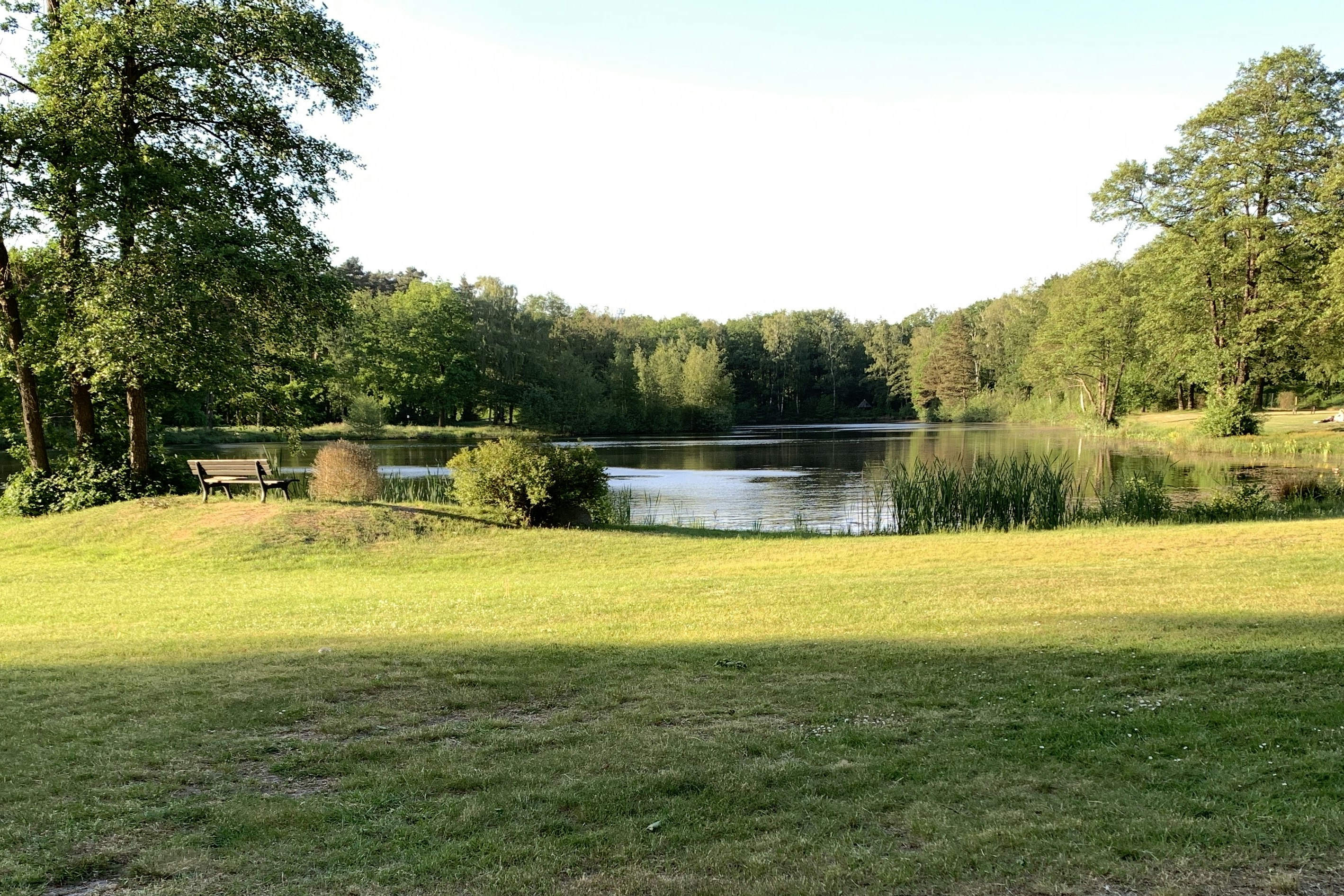 Weite Wiese am Campingplatz mit Blick auf einen ruhigen See, Bäume und einen kleinen Steg am Ufer.