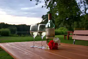 Weinglas und Flasche auf einer Holztischplatte, daneben rote Blumen, im Hintergrund Bäume und ein Campingstuhl.