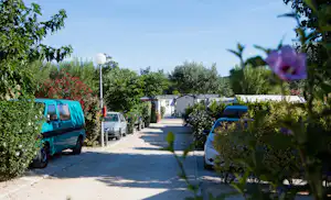 Camping Pascalounet - Strasse auf dem Campingplatz mit Stellplätzen an beiden Seiten
