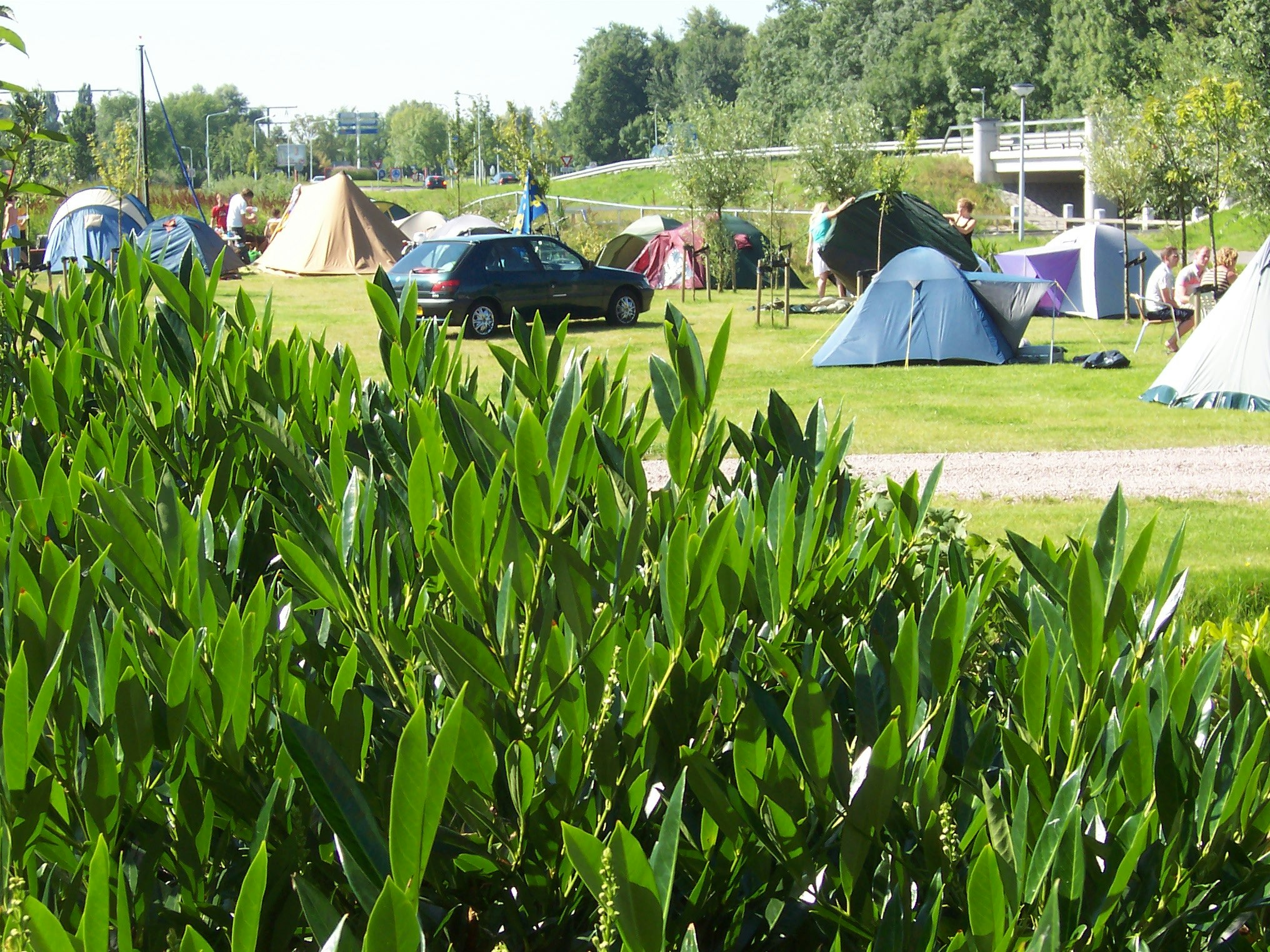 Camping Pasveer