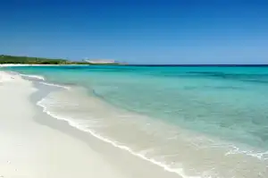 91653763.jpg