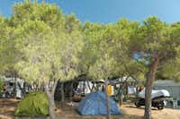 Camping Pedra e Cupa - Der  Wohnwagen- und Zeltstellplatz unter Bäumen