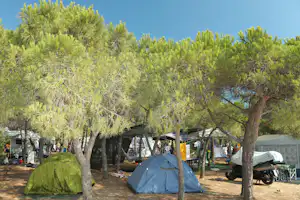 Campingzelt und weitere Zelte unter Pinienbäumen auf einem schattigen Stellplatz, daneben Gartenmöbel und ein Anhänger.