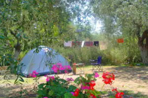 Campingzelt im Grünen mit bunten Blumenbeeten, Holztisch und Stühlen auf dem Stellplatz zwischen Bäumen.