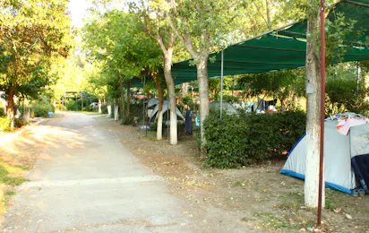 Camping Pefki