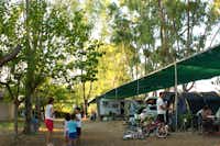Camping Pefki - Stellplätze mit Überdachung auf dem Campingplatz