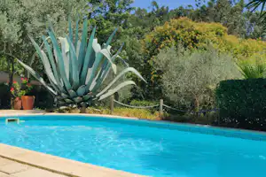 Camping Pelinos - Pool auf dem Campingplatz