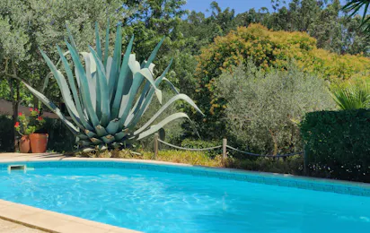 Camping Pelinos