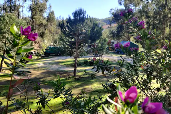 Camping Pelinos