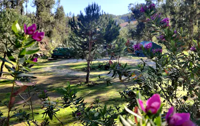 Camping Pelinos
