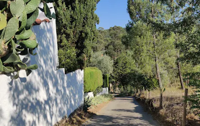 Camping Pelinos