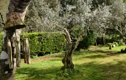 Camping Pelinos