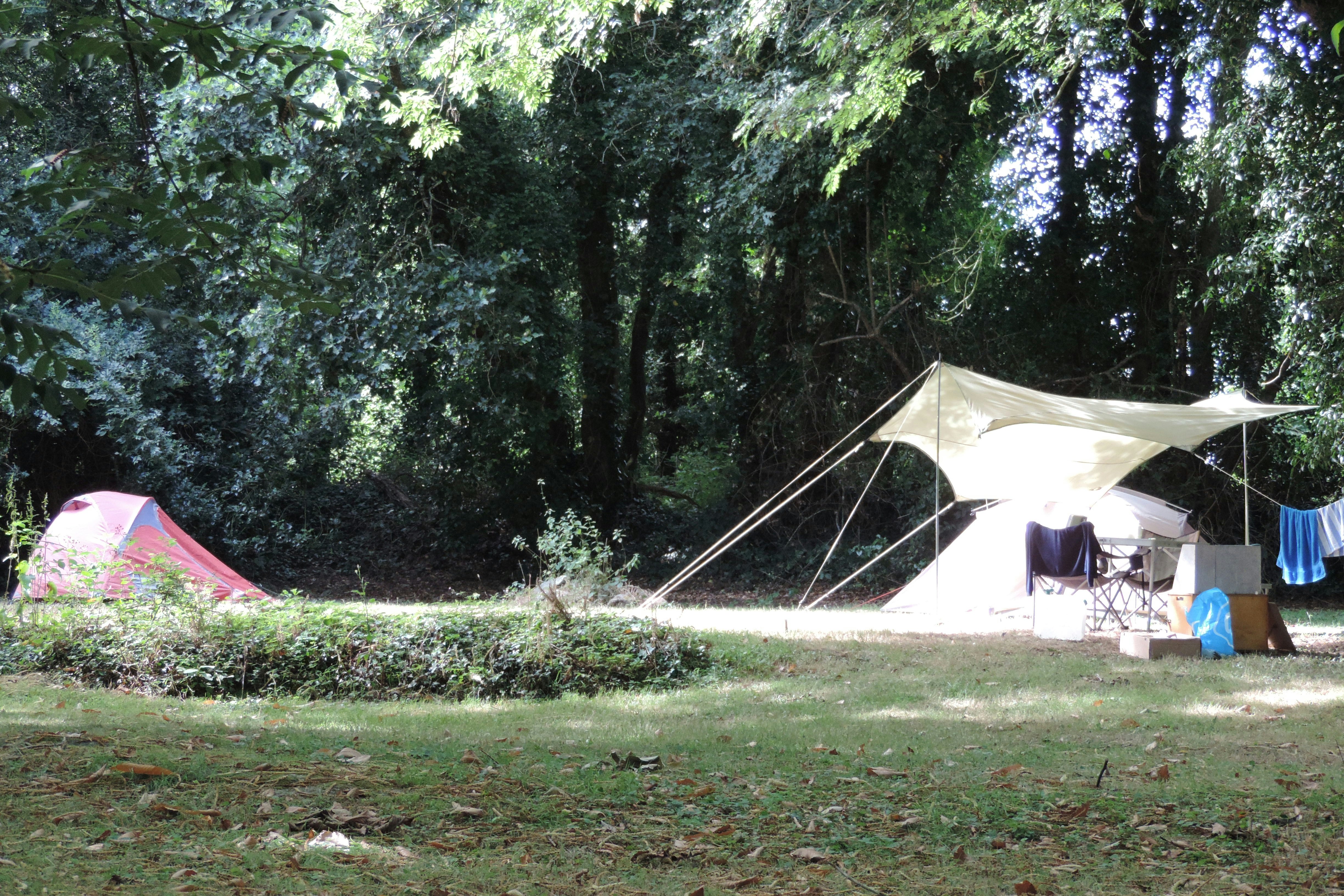 Camping Penguilly - Zelte umgeben von Bäumen auf dem Campingplatz