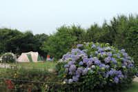 Camping Penguilly - Zeltplätze umgeben von Büschen und Blumen