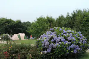 Camping Penguilly - Zeltplätze umgeben von Büschen und Blumen