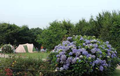 Camping Penguilly