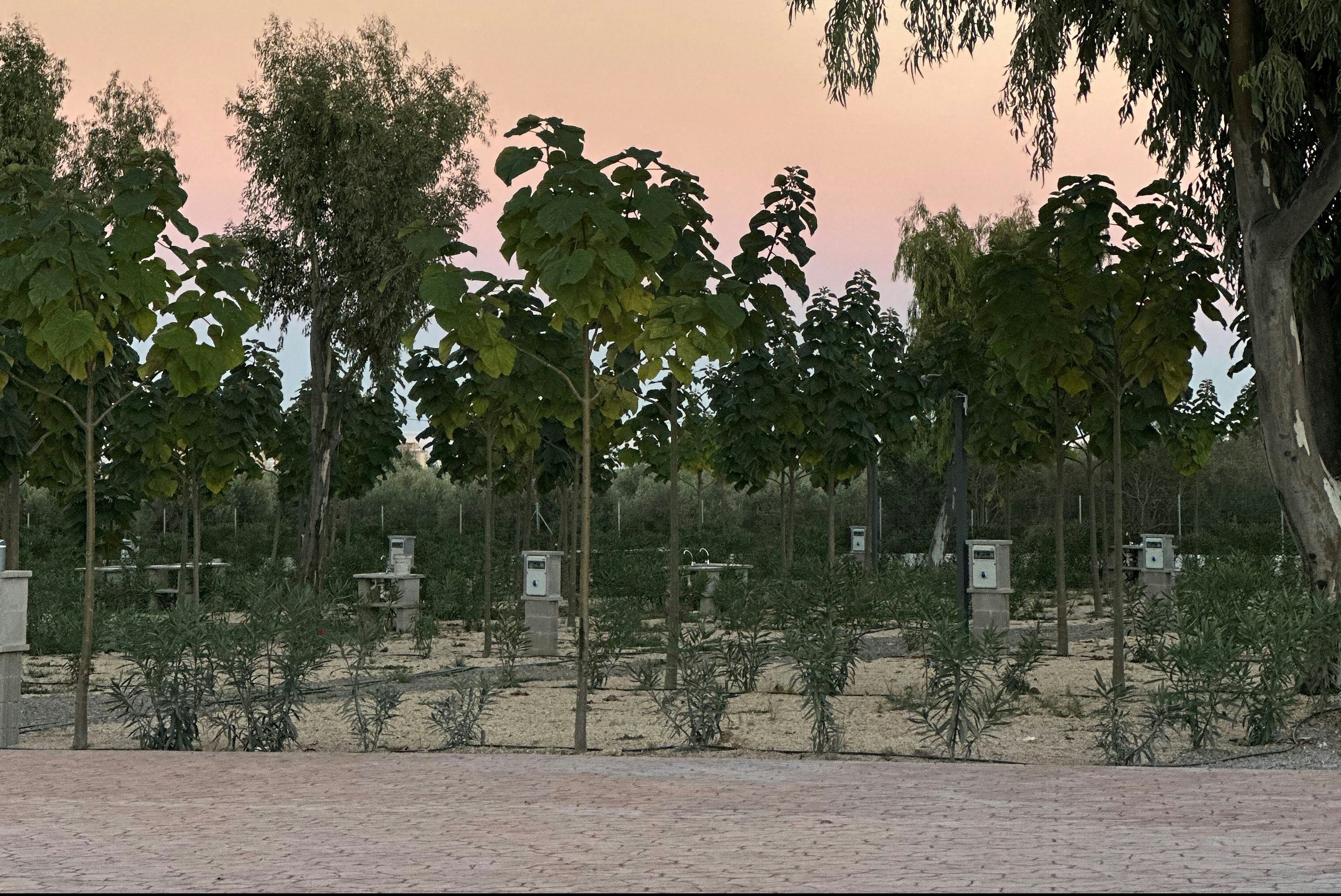 Camping Peñiscola - Standplätze auf dem Campingplatz