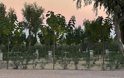 Camping Peñiscola