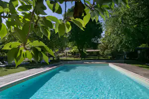 Schwimmbecken im Campingbereich mit Holzrand, umgeben von Bäumen und Hecken, im Hintergrund ein Zaun und Gebäude.