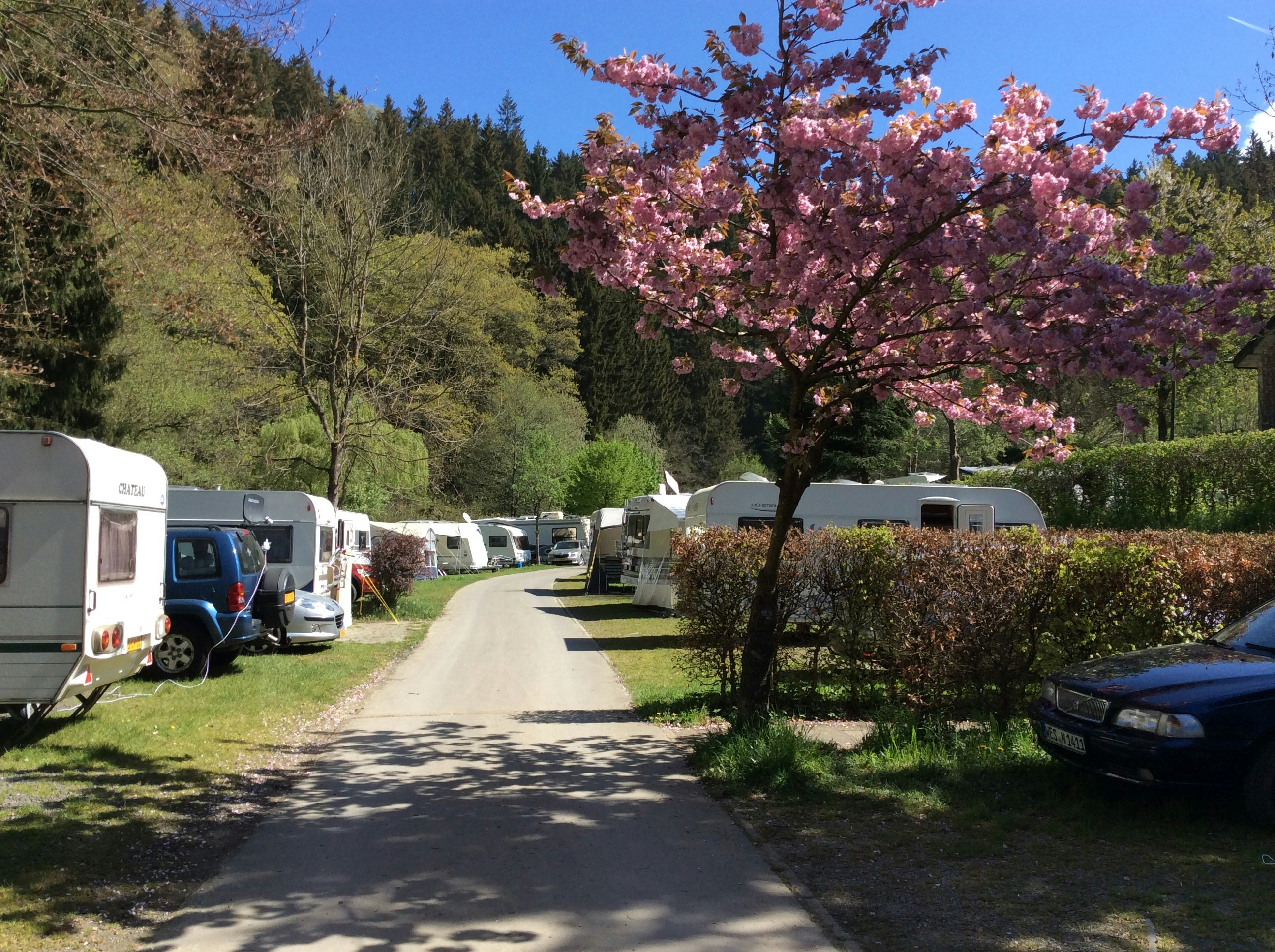 Camping Perlenau