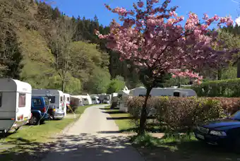 Camping Perlenau